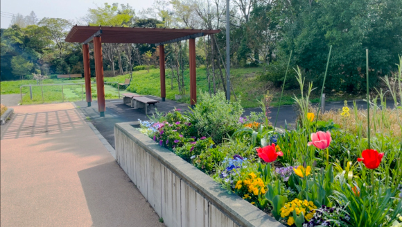 四季折々を感じられる”リハビリガーデン”の画像