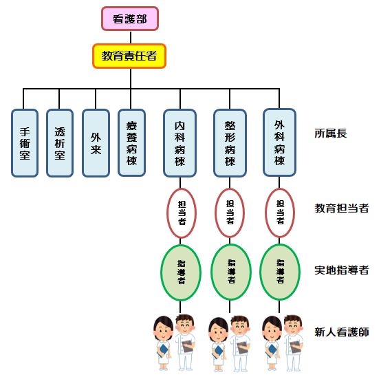 新人教育