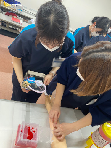 採血の実技研修