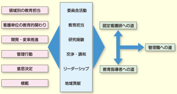 キャリア開発の過程