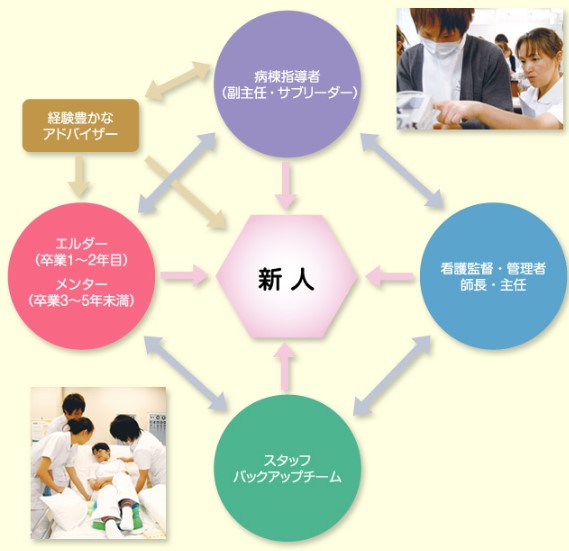 CNSS研修制度