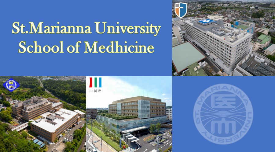 聖マリアンナ医科大学（4病院）の紹介画像2