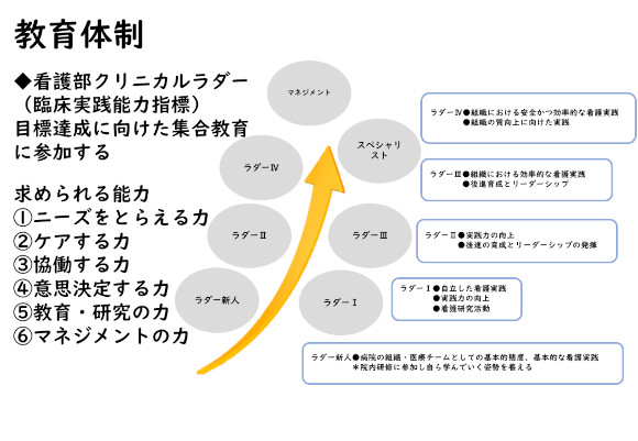 ラダー教育でステップアップを応援！の画像