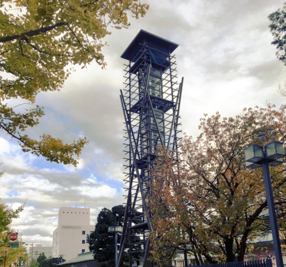 住所は「横綱」!?日本の下町文化に触れてみよう♪の画像