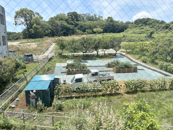 園芸療法に取り組んでいます！