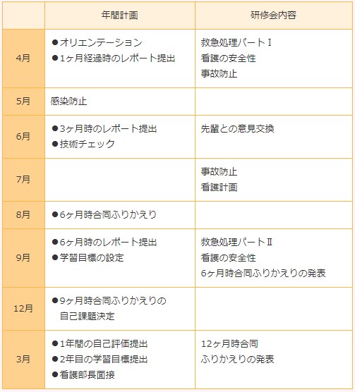 新人1年目の年間スケジュール