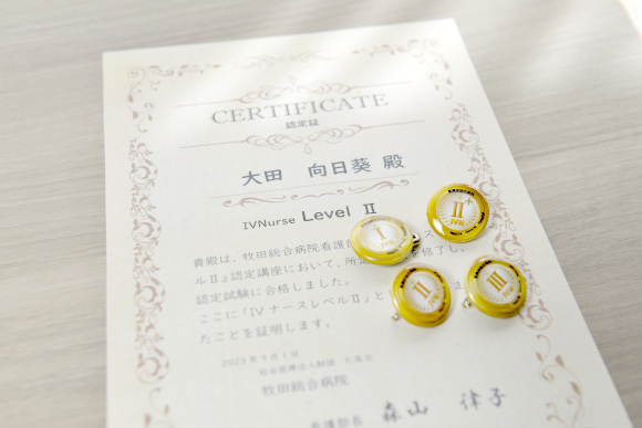 段階的に習得するIV-Co研修
