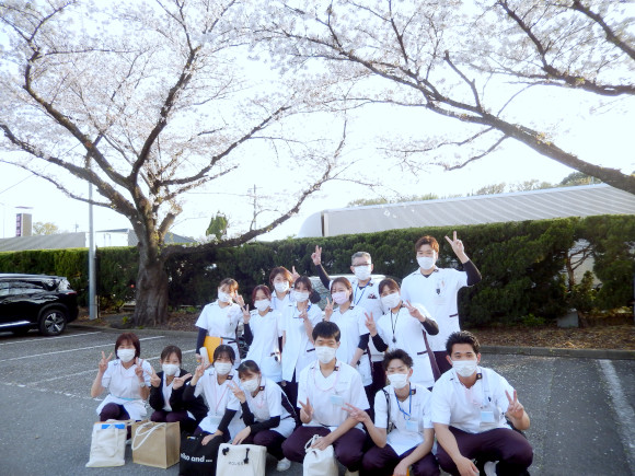 チーム全員で新人看護師を大切に育てていますの画像