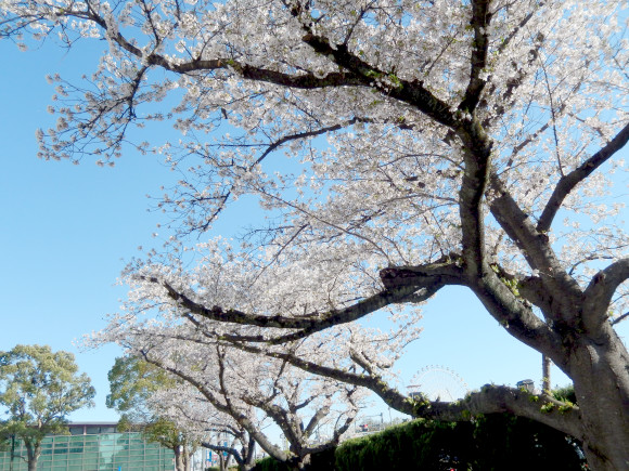 長く働き続けられる福利厚生