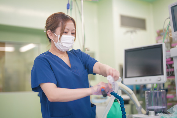 総合教育の画像