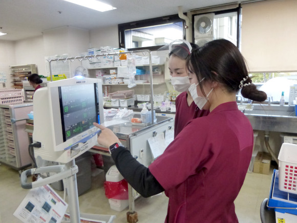心電図を見るペアナース