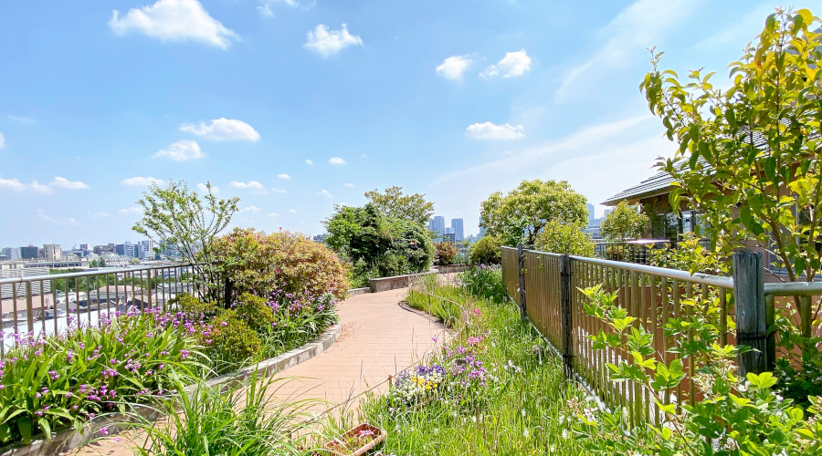 タムスグループ タムス杉並病院の紹介画像2