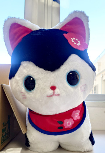 患者さまと一緒に楽しく♪の画像