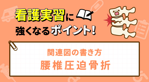 関連図の書き方 腰椎圧迫骨折