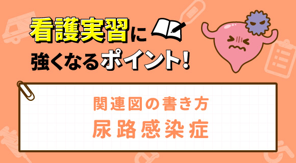 関連図の書き方 尿路感染症