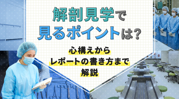 解剖見学で見るポイントは？心構えからレポートの書き方まで解説