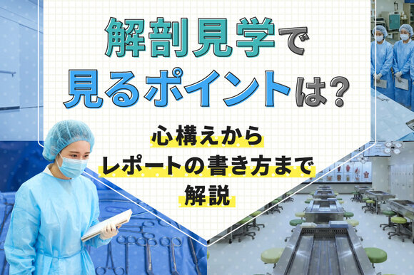 解剖見学で見るポイントは？心構えからレポートの書き方まで解説