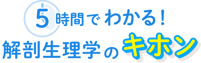 5時間でわかる！解剖生理学のキホン