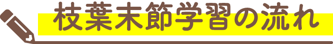 枝葉末節学習の流れ