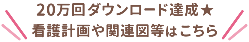 20万回ダウンロード達成★看護計画や関連図等はこちら