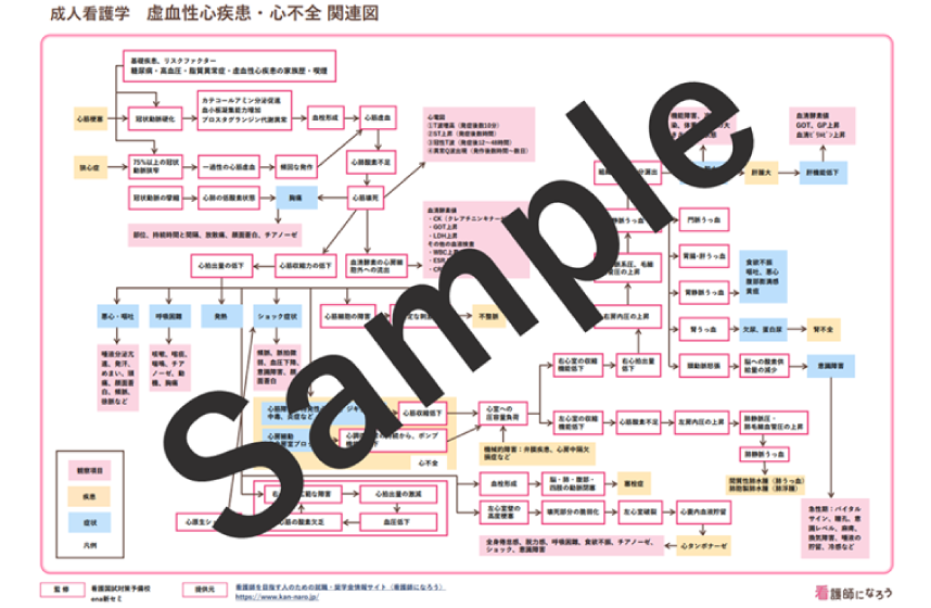 看護計画・関連図・行動計画・実習レポート等のサンプル