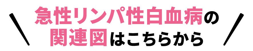 急性リンパ性白血病の関連図はこちらから