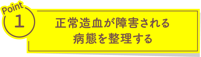 正常造血が障害される病態を整理する