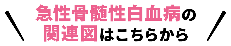 急性骨髄性白血病の関連図はこちら