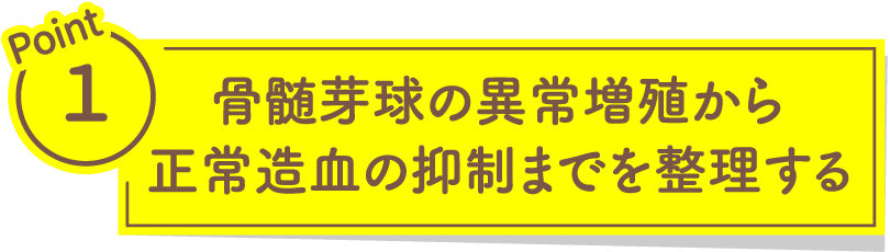 骨髄芽球の異常増殖から正常造血の抑制までを整理する