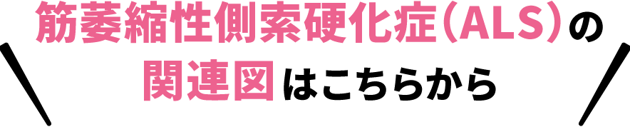 筋萎縮性側索硬化症（ALS）の関連図はこちらから