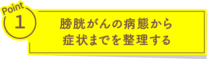 膀胱がんの病態から症状までを整理する