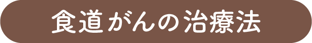食道がんの治療法