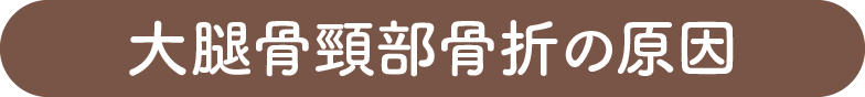 大腿骨頸部骨折の原因