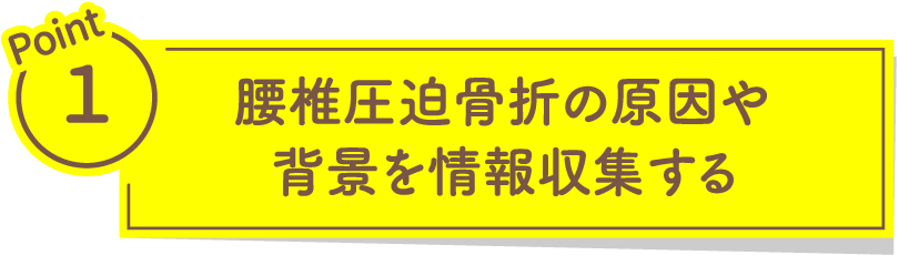 腰椎圧迫骨折の原因や背景を情報収集する