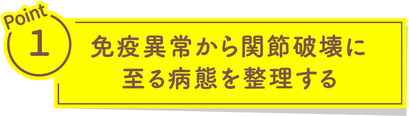 Point1 免疫異常から関節破壊に至る病態を整理する