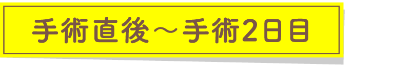 手術直後～手術2日目