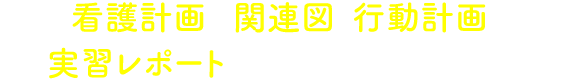 看護計画や関連図、行動計画、実習レポートをダウンロードできる！