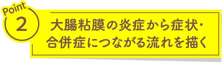 Point2 大腸粘膜の炎症から症状・合併症につながる流れを描く
