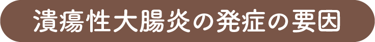 潰瘍性大腸炎の要因