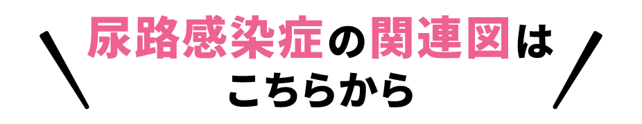 尿路感染症の関連図はこちらから