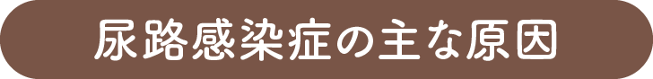 尿路感染症の主な原因