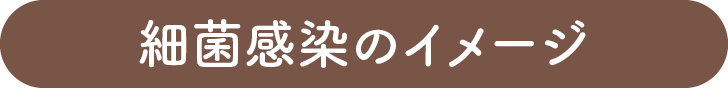細菌感染のイメージ