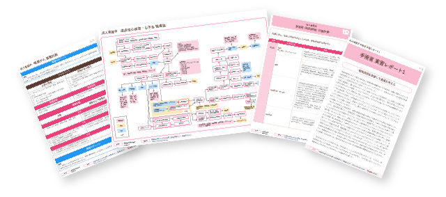 ⛔️超増量版⛔️看護実習✨看護過程✨事前学習✨関連図など