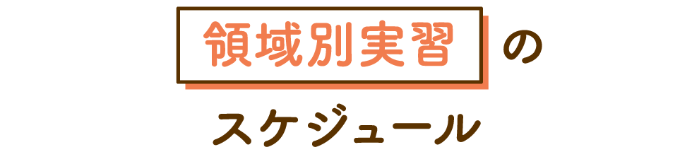 領域別実習のスケジュール