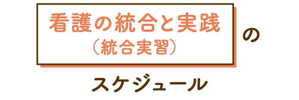 看護の統合と実践（統合実習）のスケジュール