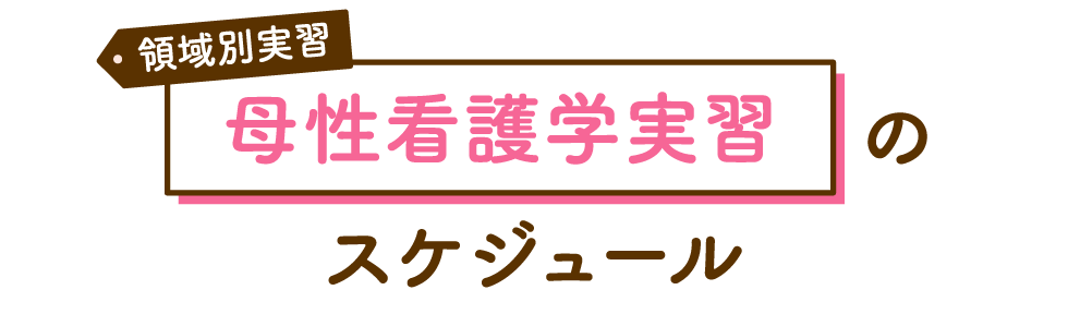 領域別実習 母性看護学実習のスケジュール