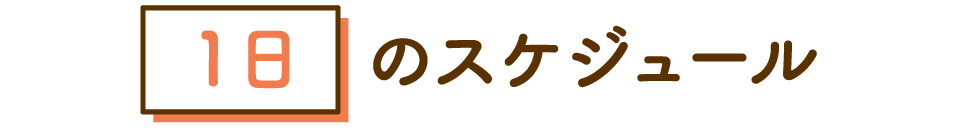 1日のスケジュール